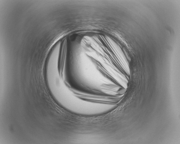 X0000116421173200912221440