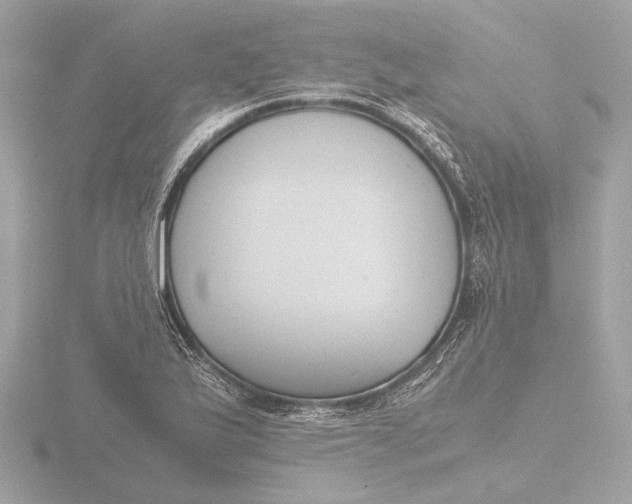 X0000116421175200912221440