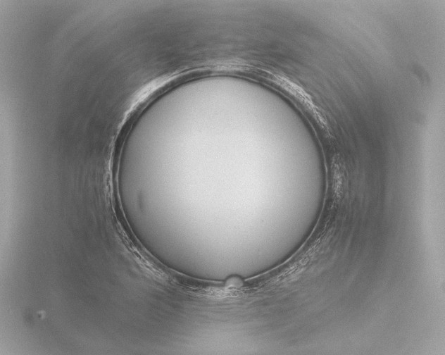 X0000116421176200912221440