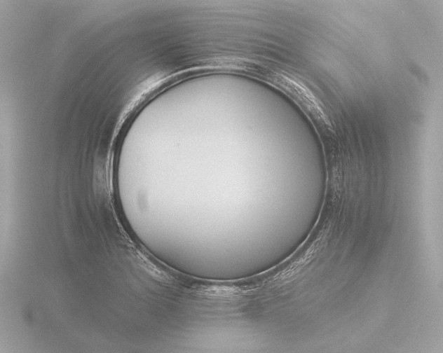 X0000116421180200912221439