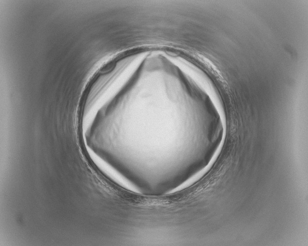 X0000116421183200912221439