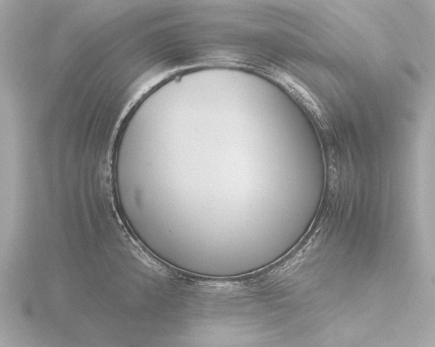 X0000116421192200912221439