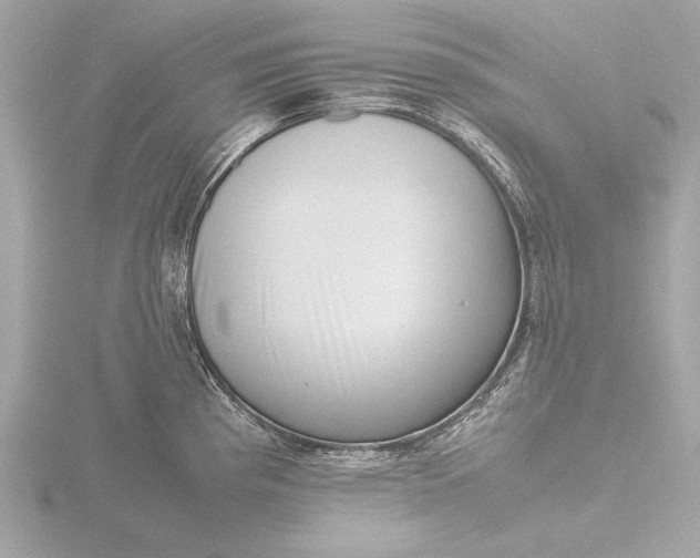 X0000116421193200912221439