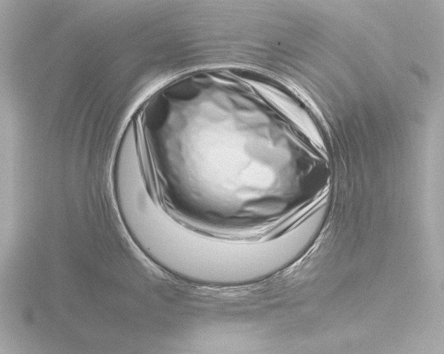 X0000116421197200912221439