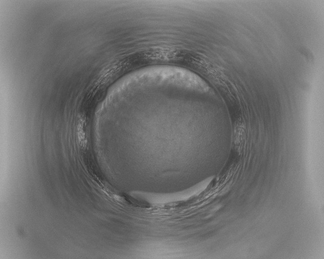 X0000116421202200912221439