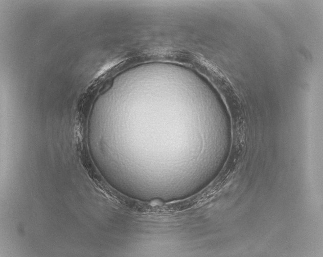 X0000116421206200912221439