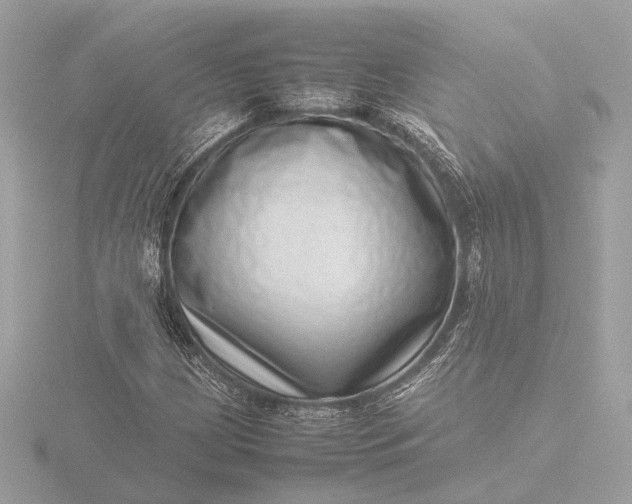 X0000116421209200912221439