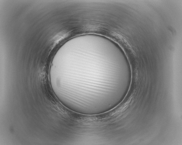 X0000116421210200912221439