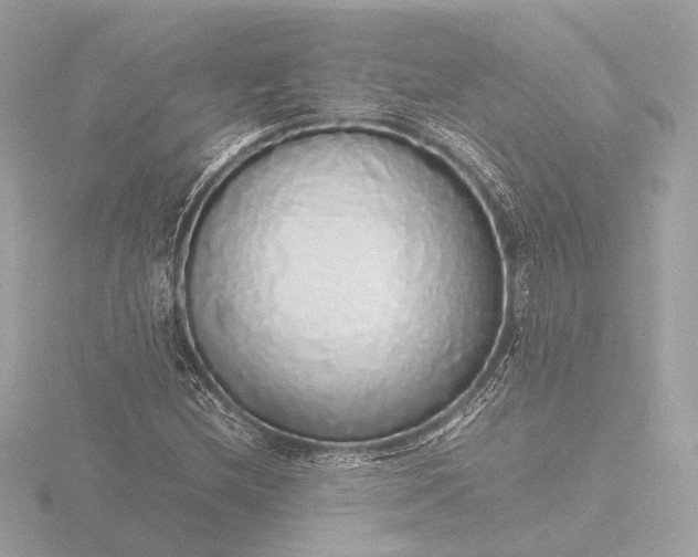 X0000116421212200912221439