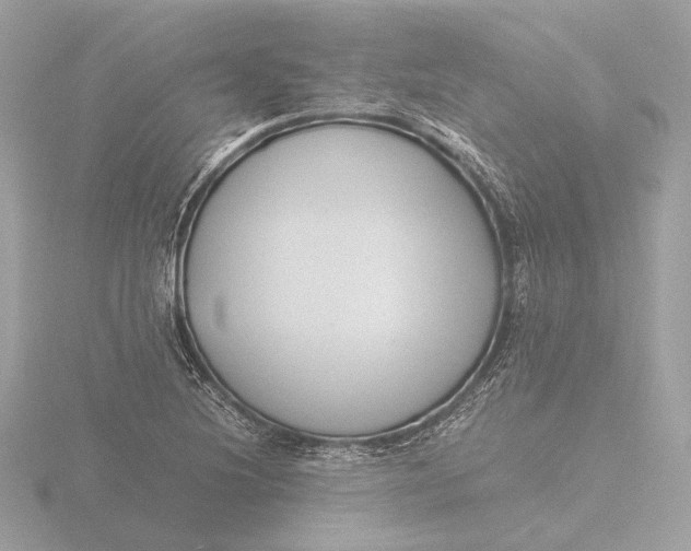 X0000116421220200912221439