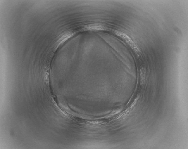 X0000116421225200912221439