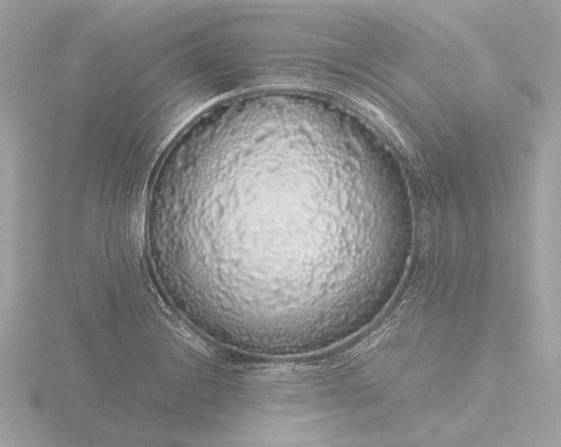 X0000116421228200912221439