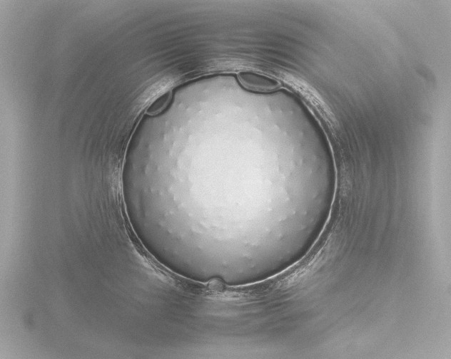 X0000116421241200912221439