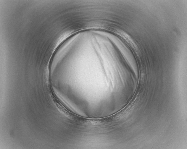 X0000116421242200912221439