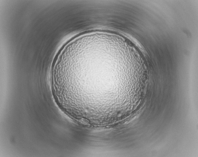 X0000116421247200912221439