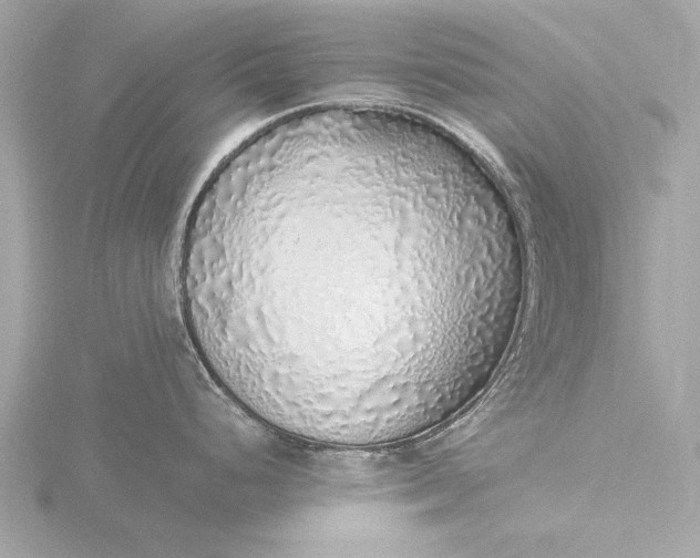 X0000116421248200912221439