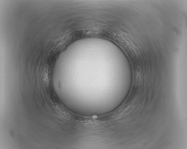 X0000116421250200912221439