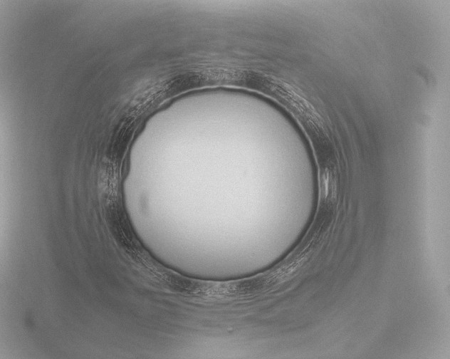 X0000116421251200912221439