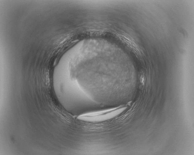 X0000116421252200912221439