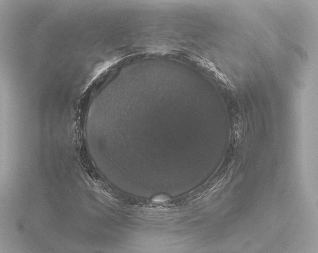 X0000116421256200912221439