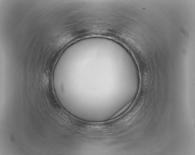 X0000116421257200912221438