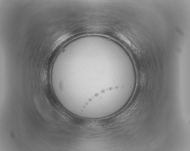 X0000116421259200912221438