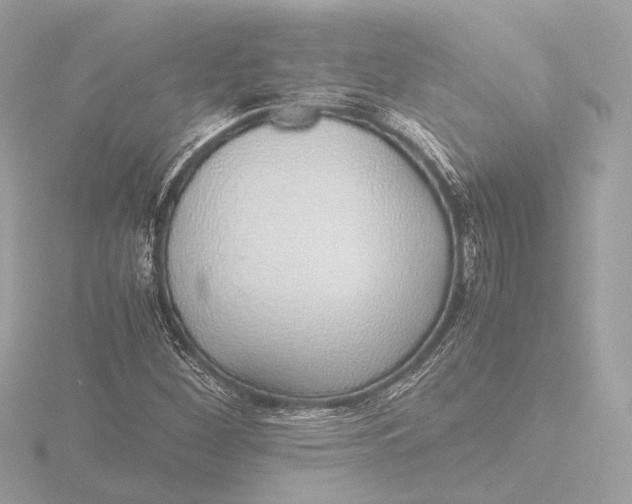 X0000116421260200912221438