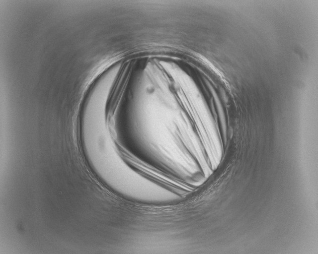 X0000116421269200912221438
