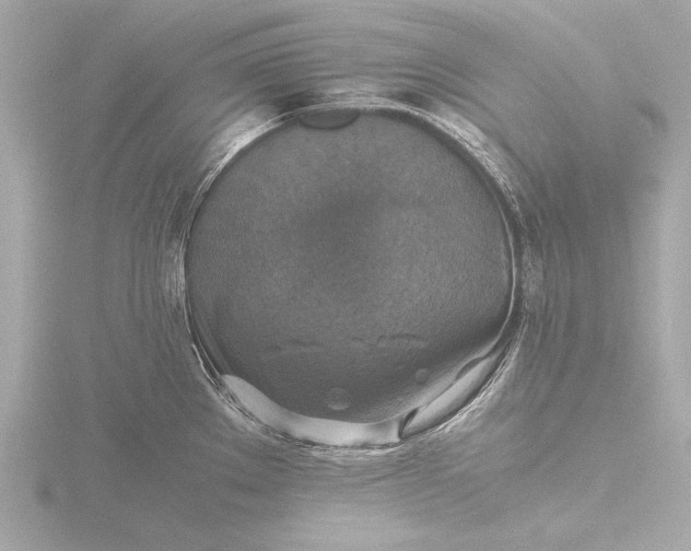X0000116421289200912221438