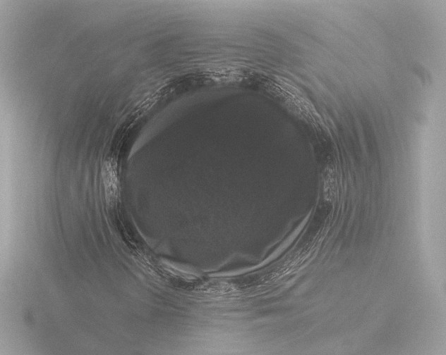 X0000116421298200912221437
