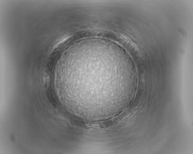X0000116421302200912221437
