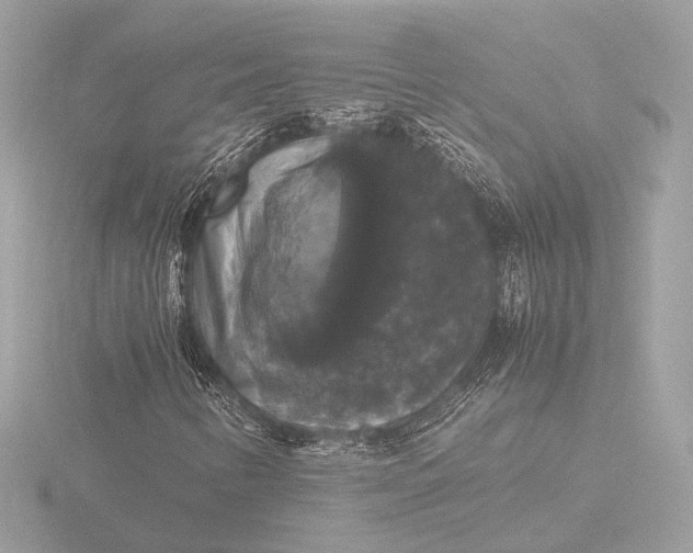 X0000116421346200912221437