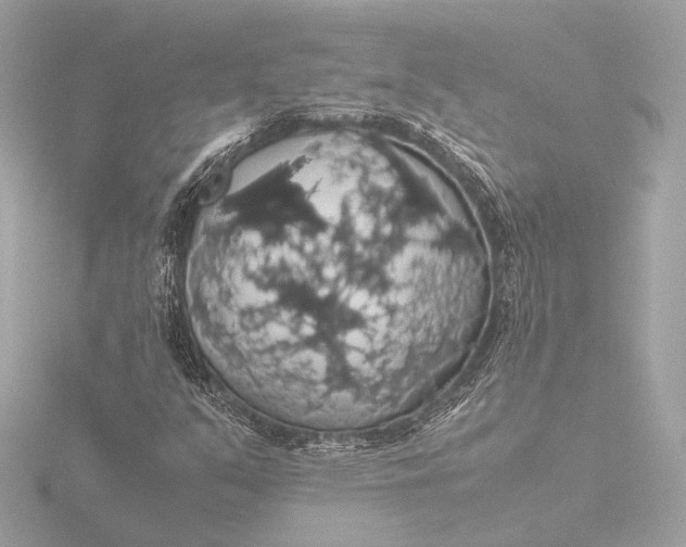 X0000116421351200912221437