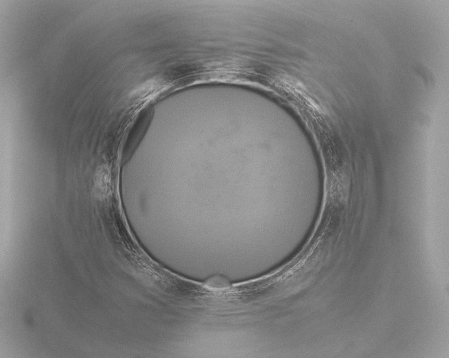 X0000116421353200912221437