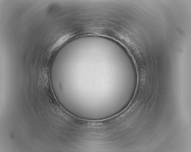 X0000116421354200912221437