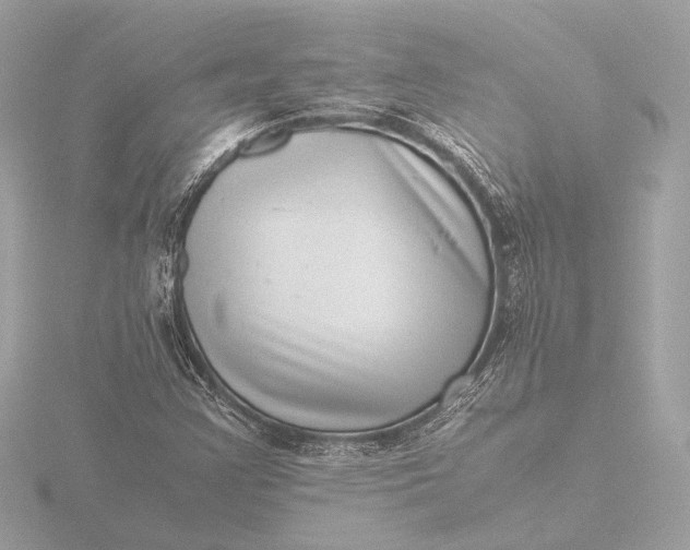 X0000116421355200912221437