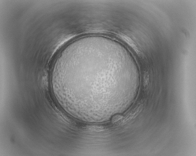 X0000116421356200912221437