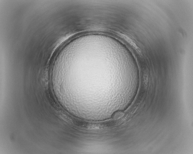 X0000116421364200912221437