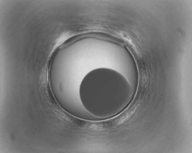 X0000116421365200912221437
