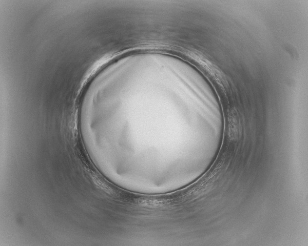 X0000116421366200912221437