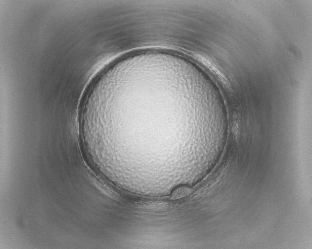 X0000116421372200912221437