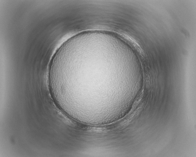 X0000116421374200912221437