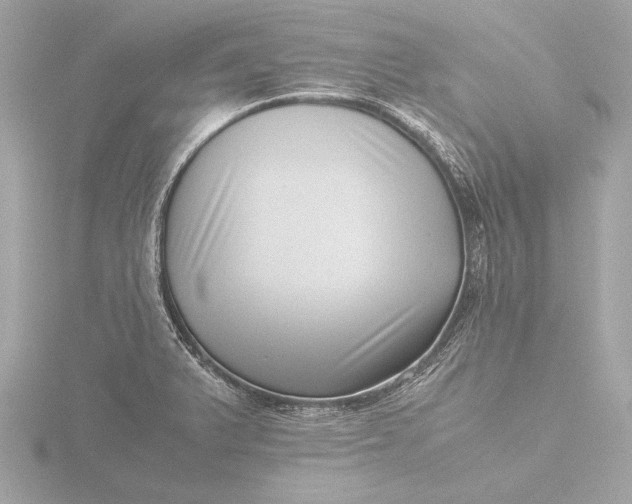 X0000116421375200912221437