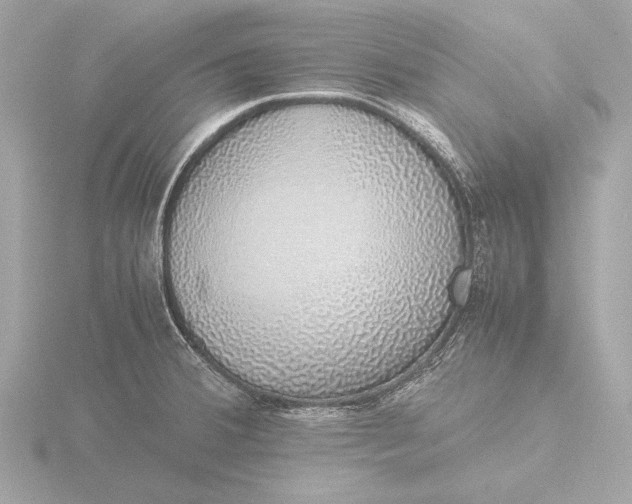 X0000116421380200912221437