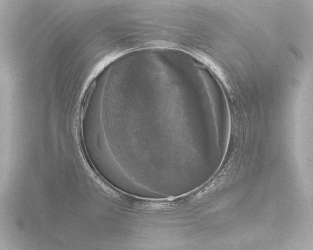 X0000116421381200912221437