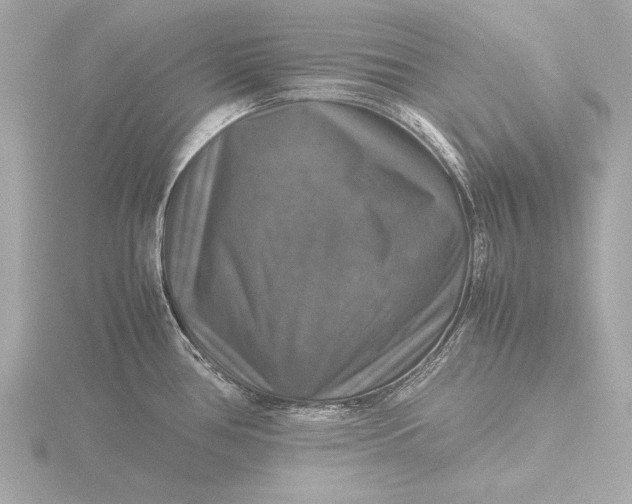 X0000116421386200912221437