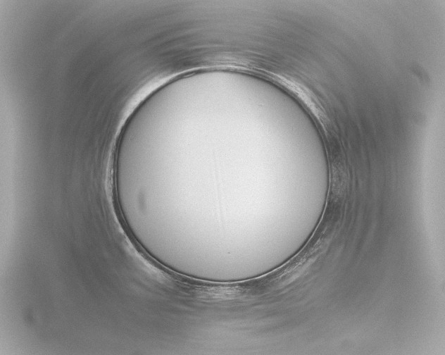 X0000116421387200912221437