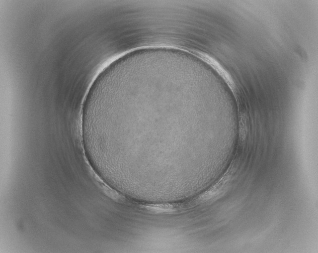 X0000116421388200912221437