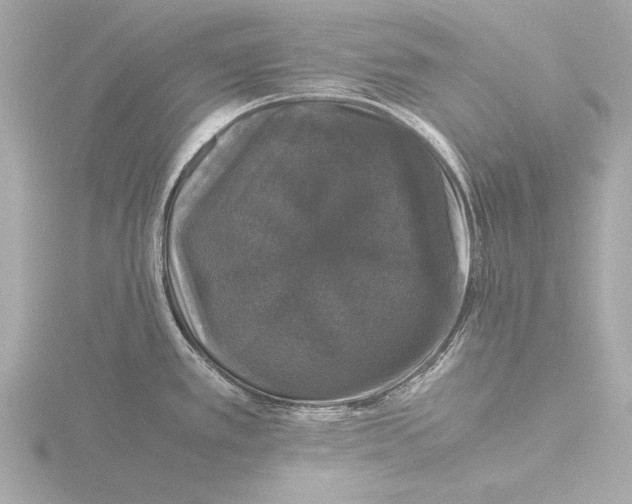 X0000116421389200912221437