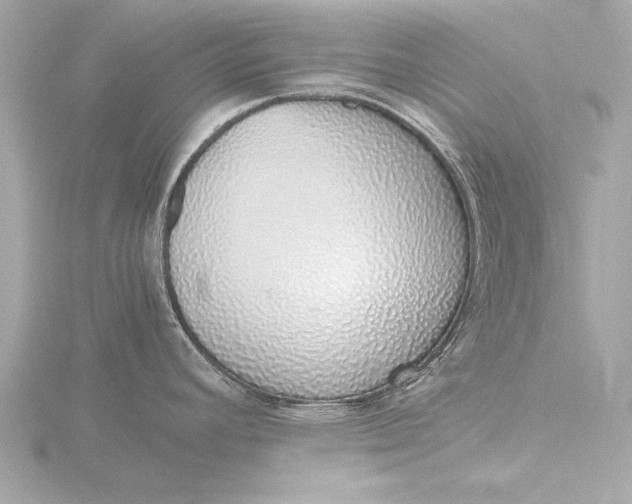 X0000116421392200912221437